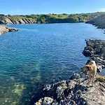 Camping Harbour Goleen