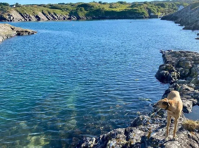 Campsite Harbour Goleen